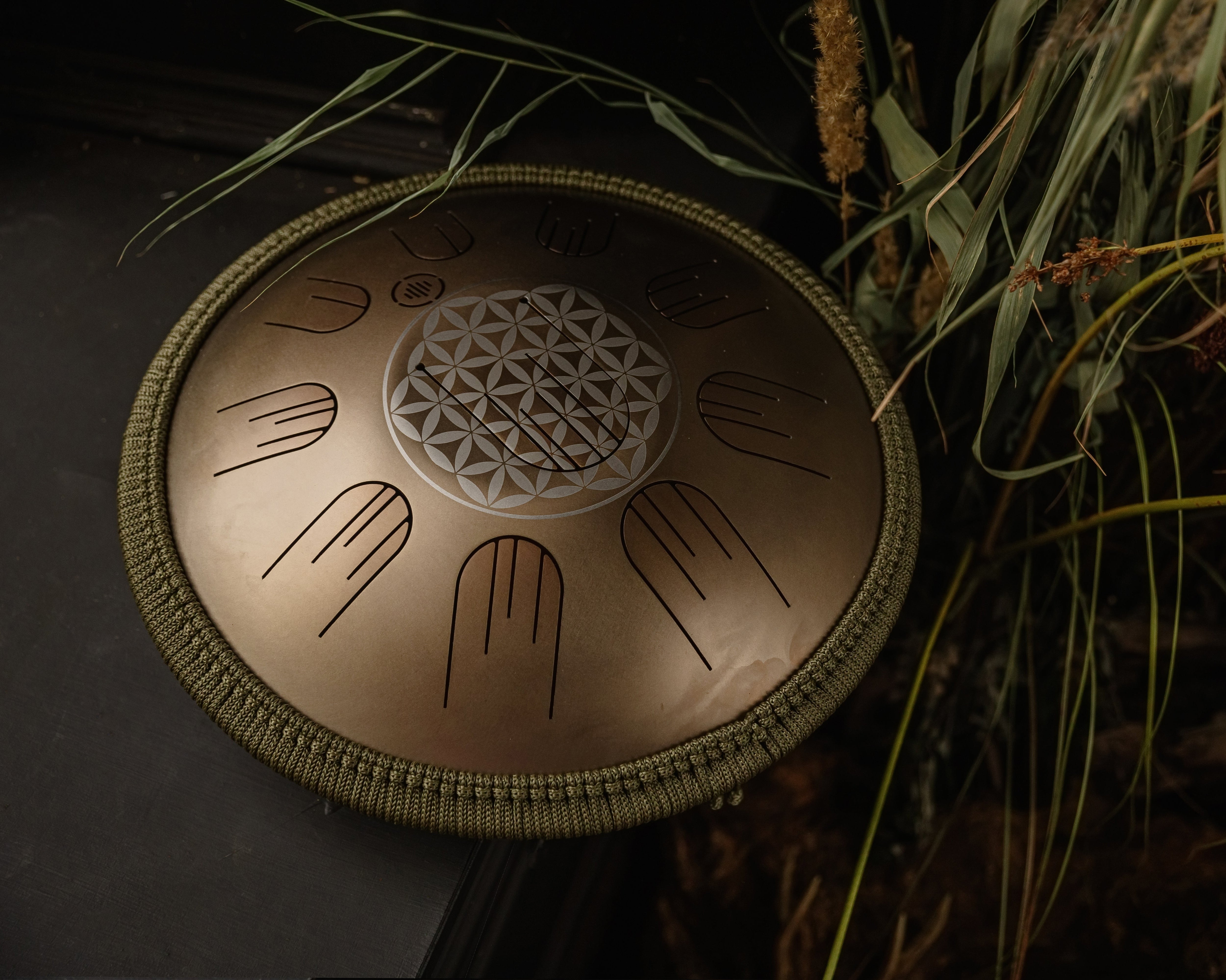Front view of Novadrum 38 steel tongue drum in stainless steel, with precision-cut tongues arranged symmetrically around a central logo
