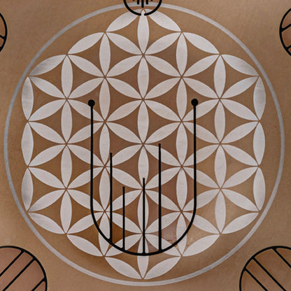 Nova 38 'Gold'