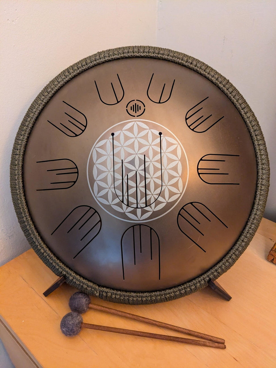 Customer photo from Catherine Iagnemma's review – Nova 38 Gold · D Celtic Minor · 432 Hz